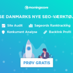 Morningscore seo tool